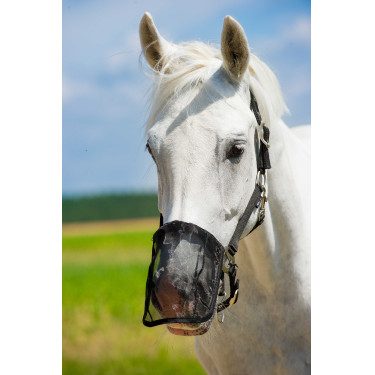 Paranaso in rete anti-mosche