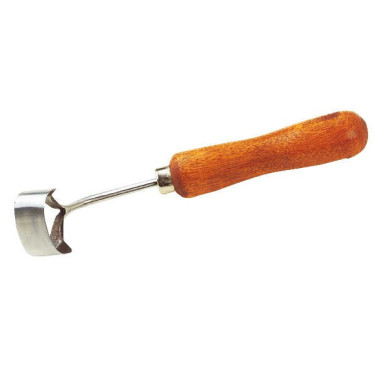 Renetta ad anello Renetta ad anello