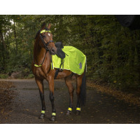 Coprireni riflettente