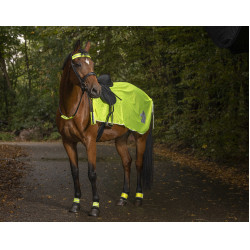 Coprireni riflettente