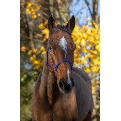 Capestro etologico corda Fine Blu reale Capestro etologico corda Fine Blu reale
