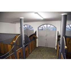 Telecamera IPCam 360 FHD 1080p Kerbl Telecamera IPCam 360 FHD 1080p Kerbl