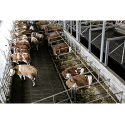 Telecamera IPCam 360 FHD 1080p Kerbl Telecamera IPCam 360 FHD 1080p Kerbl