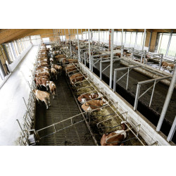 Telecamera IPCam 360 FHD 1080p Kerbl Telecamera IPCam 360 FHD 1080p Kerbl