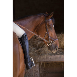 Mini-chaps Equithème Premium Nero