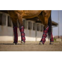 Paratendini da trasporto Equithème Tyrex 1200 D Bordeaux