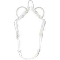 Sottopancia da volteggio Norton