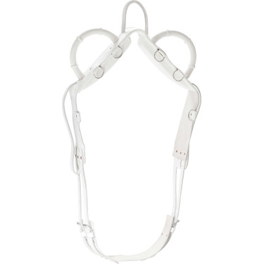 Sottopancia da volteggio Norton Sottopancia da volteggio Norton