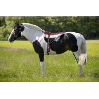 Tappeto da equitazione a...