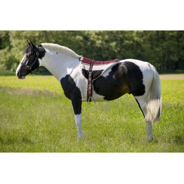 Tappeto da equitazione a pelo Norton