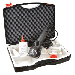 TOSATRICE NORTON PROGRESS