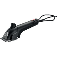 TOSATRICE NORTON PROGRESS