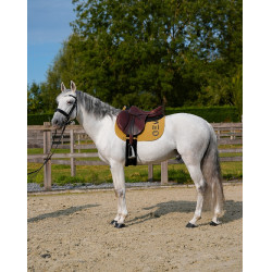 Tappeto GEM Ten Spezie