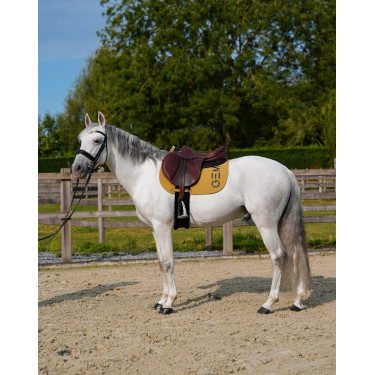 Tappeto GEM Ten Spezie