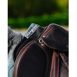 Ammortizzatore GEM Oscar Nero / argento