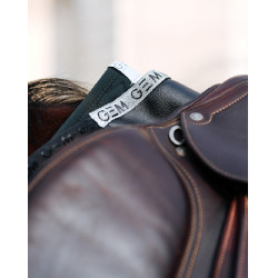 Ammortizzatore GEM Oscar Nero / argento