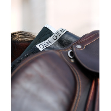 Ammortizzatore GEM Oscar Nero / argento