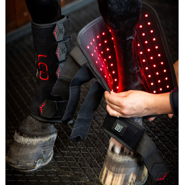Stinchiere terapeutici Horseware con luce rossa a LED Nero / nero Stinchiere terapeutici Horseware con luce rossa a LED Nero / nero