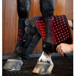 Stinchiere terapeutici Horseware con luce rossa a LED Nero / nero Stinchiere terapeutici Horseware con luce rossa a LED Nero / nero