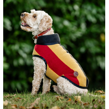Coperta in pile Horseware Newmarket per cane Oro bianco Coperta in pile Horseware Newmarket per cane Oro bianco