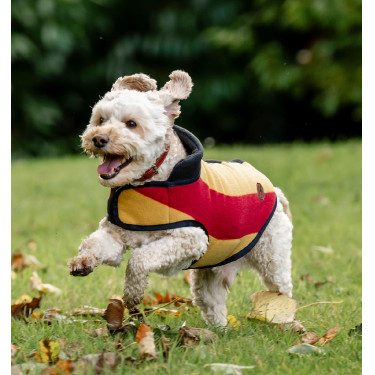 Coperta in pile Horseware Newmarket per cane Oro bianco Coperta in pile Horseware Newmarket per cane Oro bianco