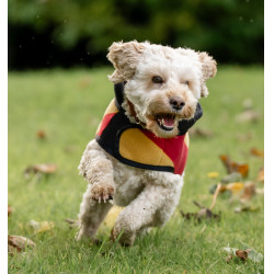 Coperta in pile Horseware Newmarket per cane Oro bianco Coperta in pile Horseware Newmarket per cane Oro bianco