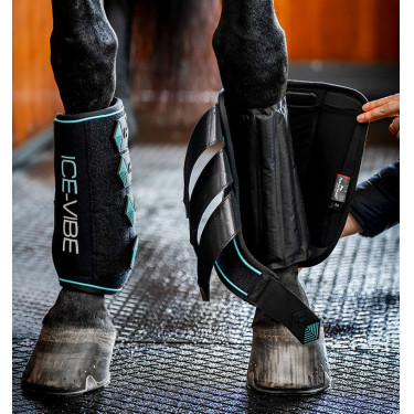 Stinchiere Horseware Ice-Vibe Nero / acqua