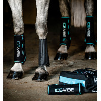 Stinchiere Horseware Ice-Vibe Nero / acqua