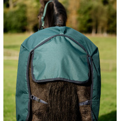 Coperta Horseware Amigo Ripstop 900D Turnout 100g Verde dinastia / blu marine / argento