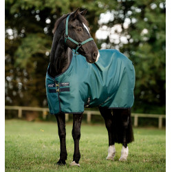 Coperta Horseware Amigo Ripstop 900D Pony Turnout 100g Verde dinastia / blu marine / argento