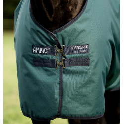 Coperta Horseware Amigo Ripstop 900D Pony Turnout 100g Verde dinastia / blu marine / argento