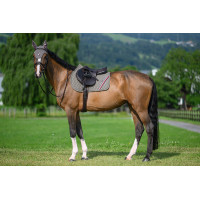 Tappetino da salto ostacoli Tommy Hilfiger Equestrian Stanford Limone ella Giallo