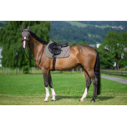 Tappetino da salto ostacoli Tommy Hilfiger Equestrian Stanford Cenere Blu marino