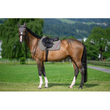 Tappetino da salto ostacoli Tommy Hilfiger Equestrian Stanford Cenere Blu marino
