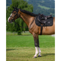 Sottosella da salto ostacoli Tommy Hilfiger Equestrian Liberty Talpa Marrone