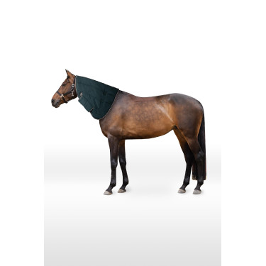 Copricollo per coperta da box Glasgow pony Hoze Verde acqua scuro Copricollo per coperta da box Glasgow pony Hoze Verde acqua scuro