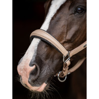 Capezza in pelle Equestrian Stockholm anatomica scintillante Full marrone