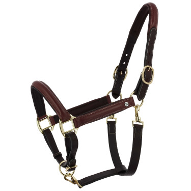 Capezzina grooming in cuoio oliato Norton Spring Avana Marrone