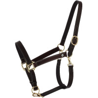 Capezzina da grooming in cuoio oliato Norton Derby Avana Marrone Capezzina da grooming in cuoio oliato Norton Derby Avana Marrone