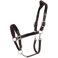 Capezza Norton Dualy Havana / blu navy Marrone