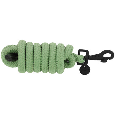 Longe Equithème Pearl Verde