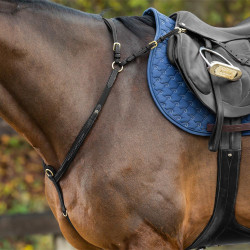 Pettorale con martingala Dy'on Collezione D Nero