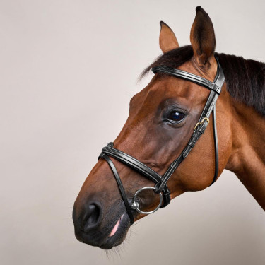 Briglia Capezzina Combinata Dy'on D Collection Nero