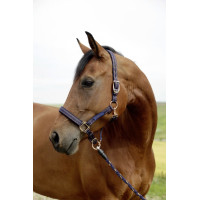 Capezzina per sistema GoLeyGo 2.0 Covalliero Blu / caramello