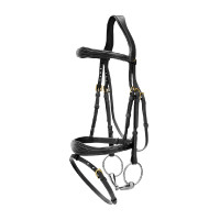 Briglia Capezzina Combinata Anatomica Dy'on D Collection Nero