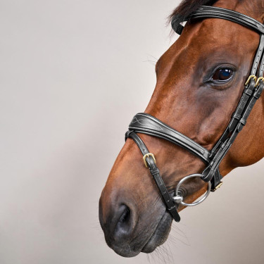 Briglia Capezzina Combinata Anatomica Dy'on D Collection Nero Briglia Capezzina Combinata Anatomica Dy'on D Collection Nero