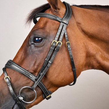 Briglia Capezzina Combinata Anatomica Dy'on D Collection Nero Briglia Capezzina Combinata Anatomica Dy'on D Collection Nero