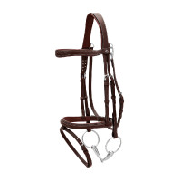 Briglia con Museruola Combinata con Moschettone Dy'on Working Marrone