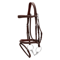 Briglia con Museruola Combinata con Moschettone Dy'on Working Nero