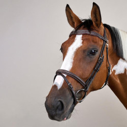 Briglia con Museruola Combinata con Moschettone Dy'on Working Marrone Briglia con Museruola Combinata con Moschettone Dy'on Working Marrone